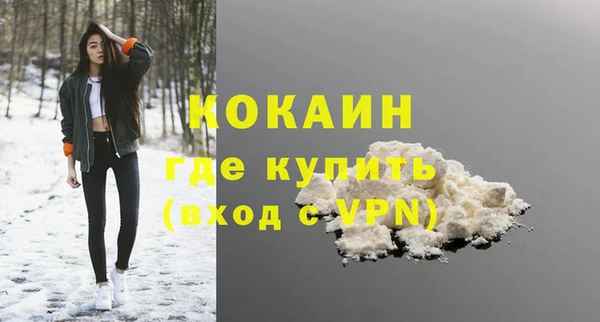 ешки Бородино