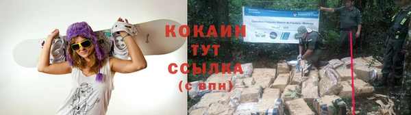 не бодяженный Богданович