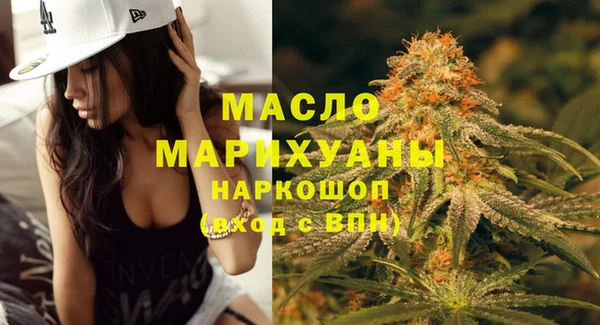 ешки Бородино