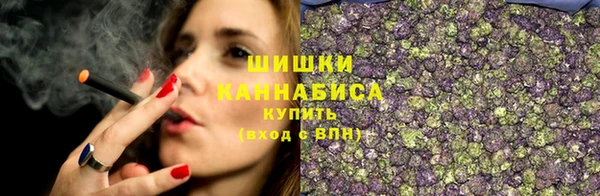 гидропоника Богородицк