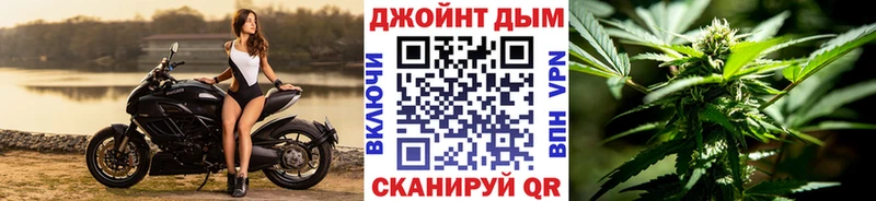 Каннабис план  Камышлов 